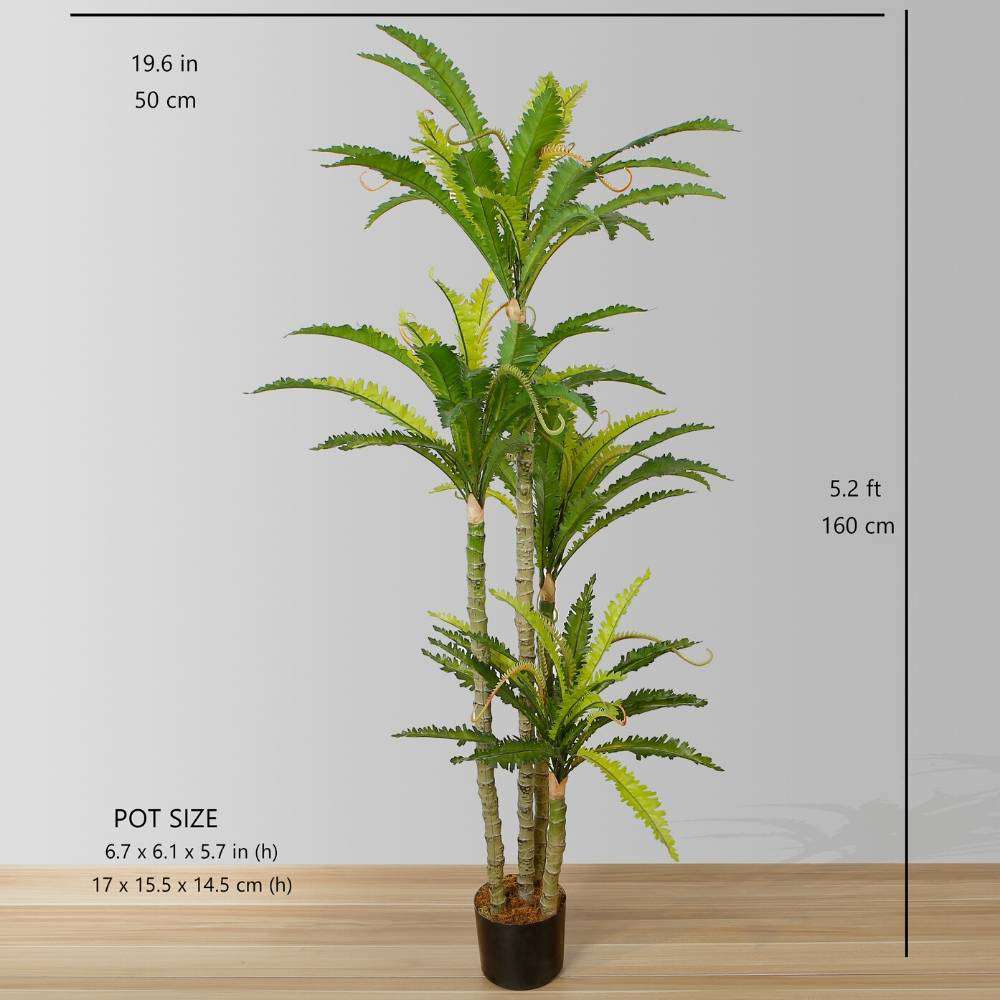 Alba Artificial Bird Nest Fern Potted Plant 5.2'