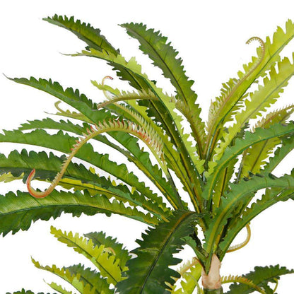 Alba Artificial Bird Nest Fern Potted Plant 5.2'