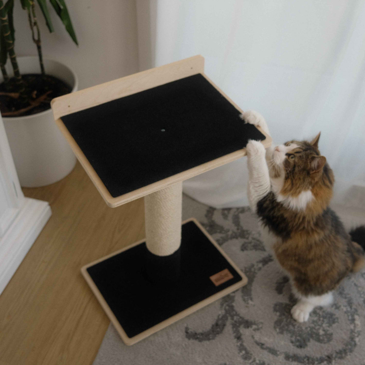 Noba Modern Plywood 1-Level Cat Tree