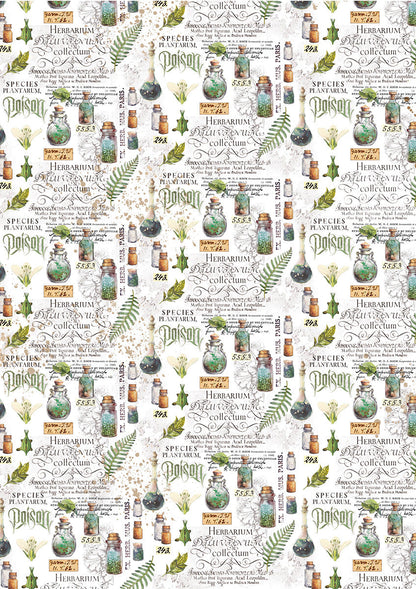 Vellum Wizard Academy Paper Patterns A4 6/Pkg