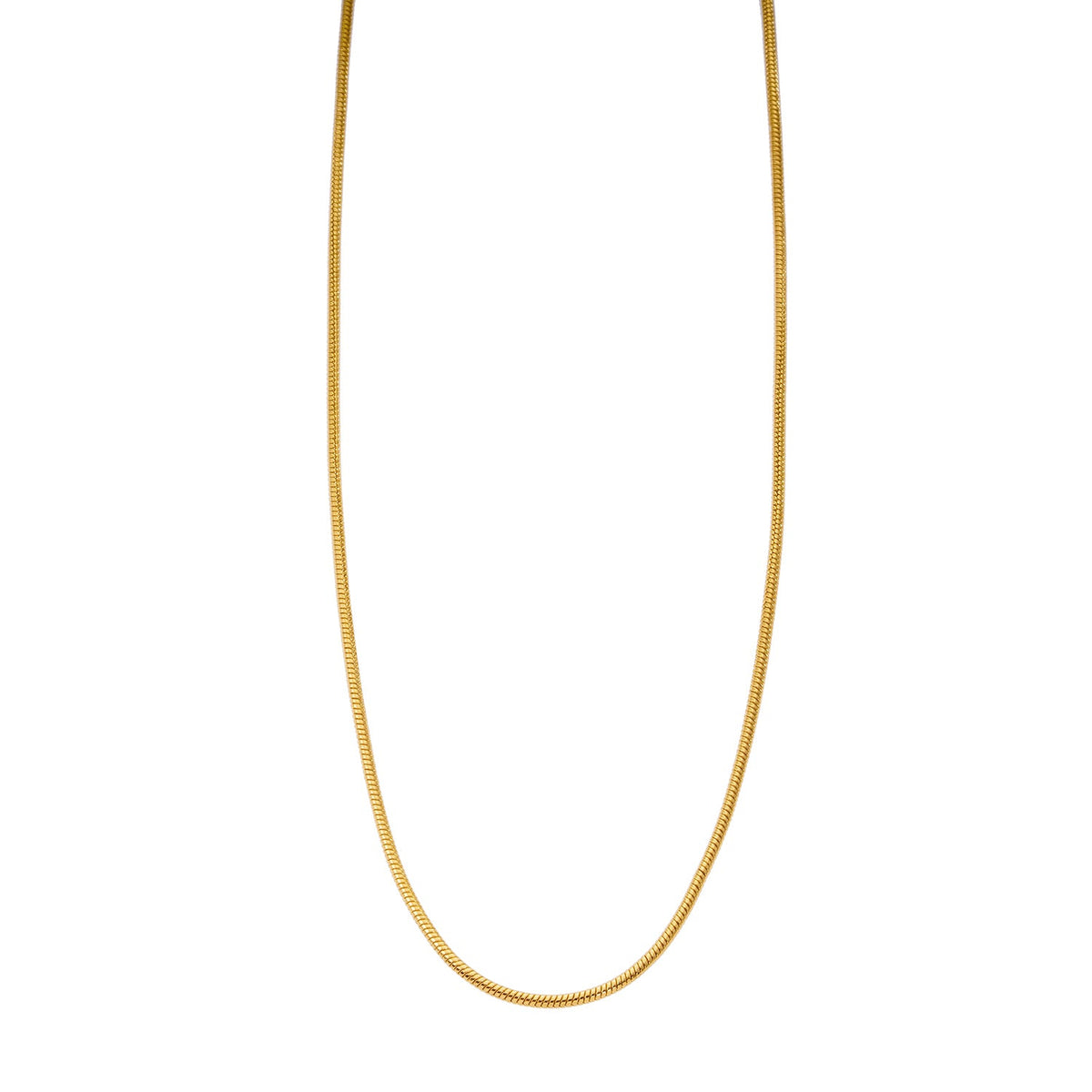 CHASTITY Gold: Dainty Snake Skin Textured Chain Necklace