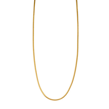 CHASTITY Gold: Dainty Snake Skin Textured Chain Necklace