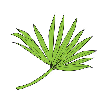 Couture Creations - Palm Leaf Stamp And Dies