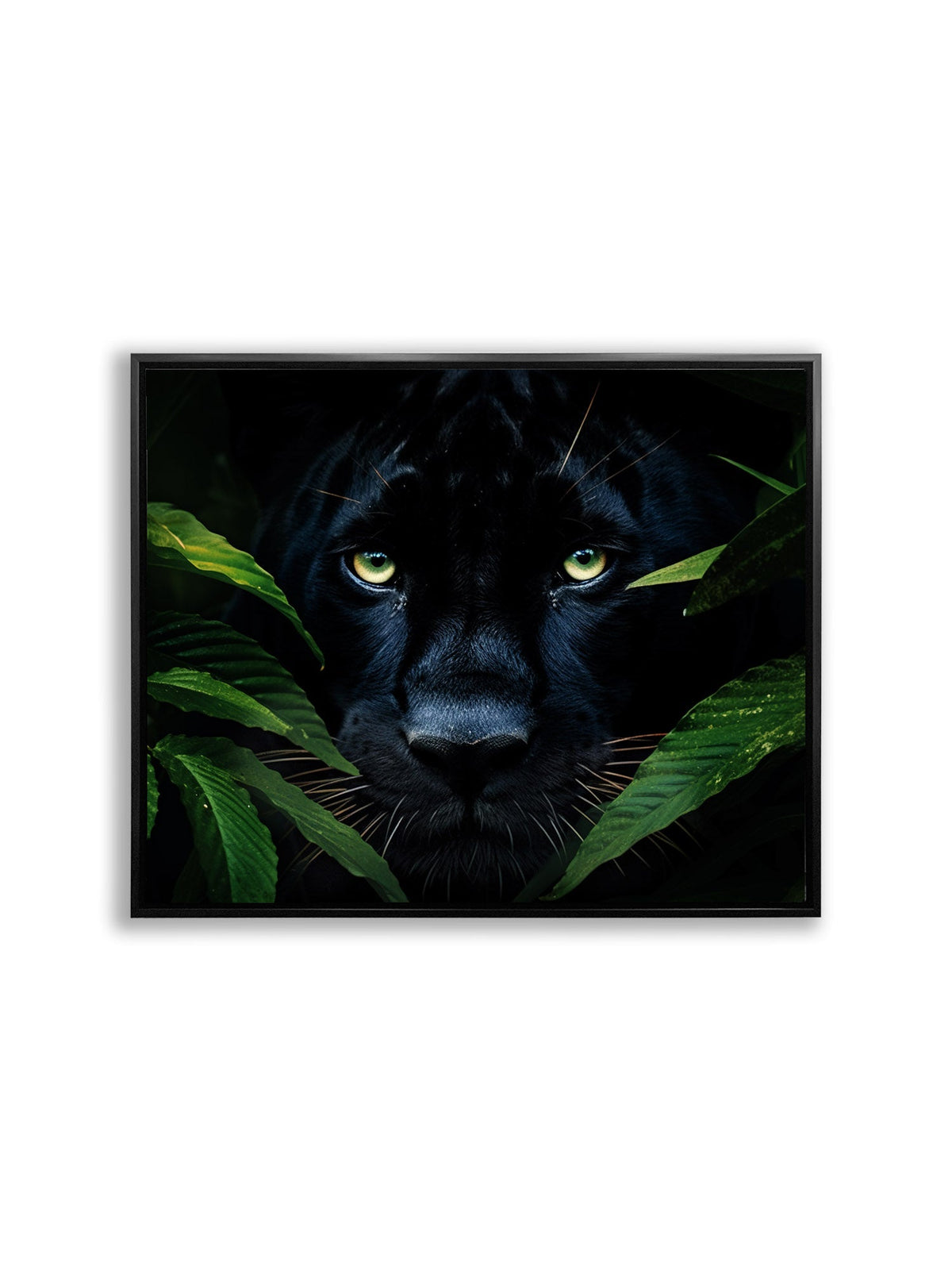 Wall Art-Rare Black Jaguar -Wildlife Canvas