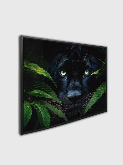 Wall Art-Rare Black Jaguar -Wildlife Canvas