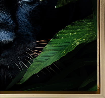 Wall Art-Rare Black Jaguar -Wildlife Canvas