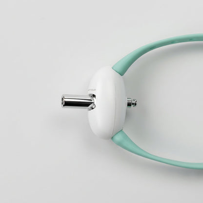 Laser Collar Toy for Cats