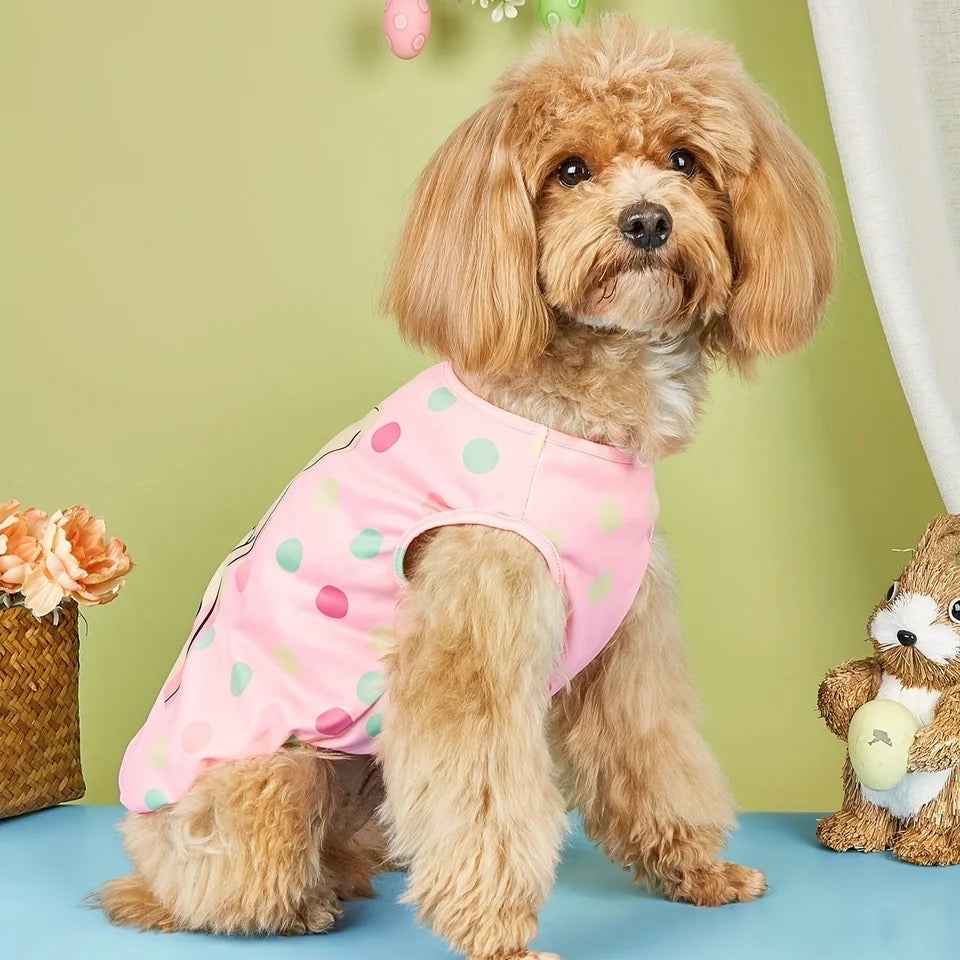 Easter Baby Sweater