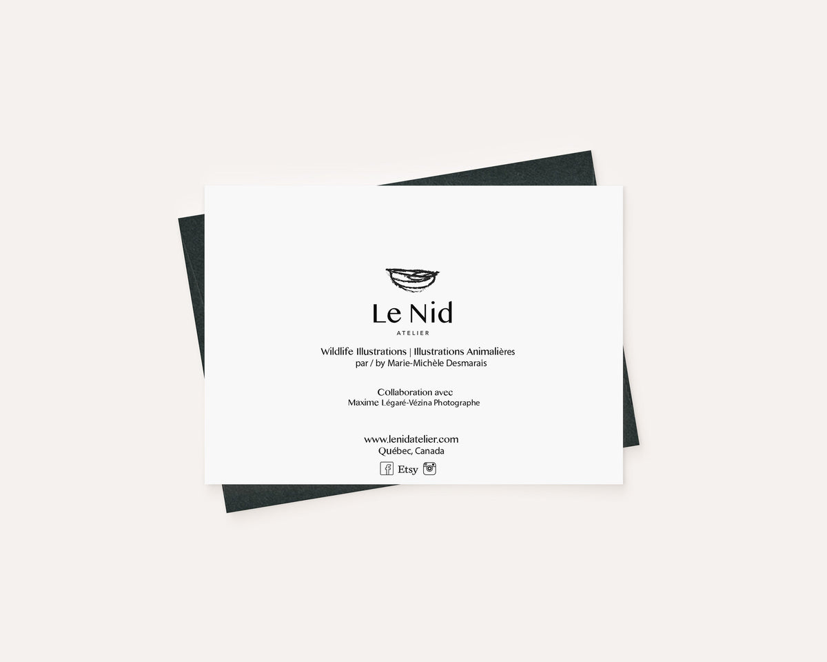 Pigeon - Greeting Card