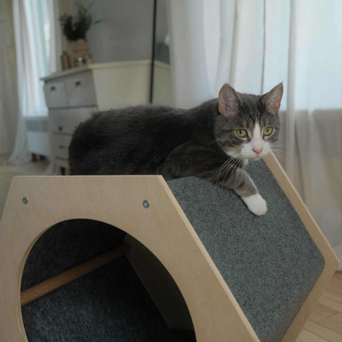 The Hexagone Scratchable Cat House