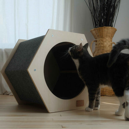The Hexagone Scratchable Cat House