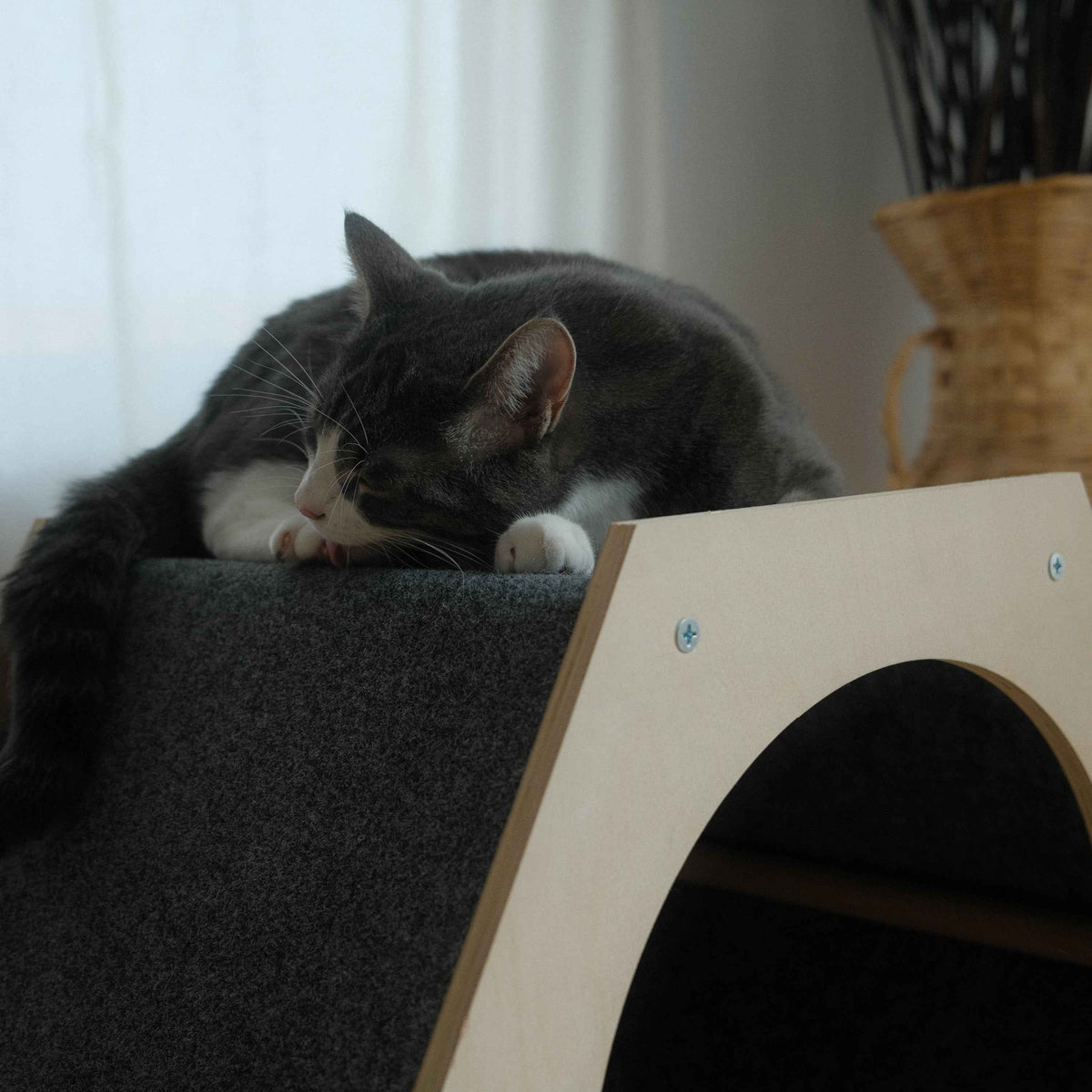 The Hexagone Scratchable Cat House