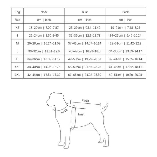 Bordan Dog Tee – Luxury Streetwear T-Shirt for Dogs