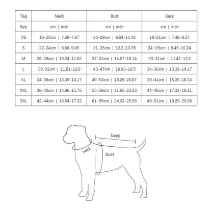 London Town Classic Dog Coat | Structured Dog Outerwear
