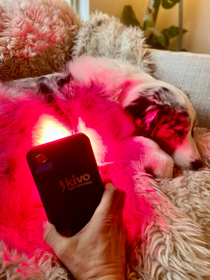 Kivo MINI Series - Small Red Light Therapy Panel