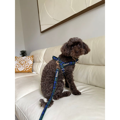 Madras Leash with hands-free extension