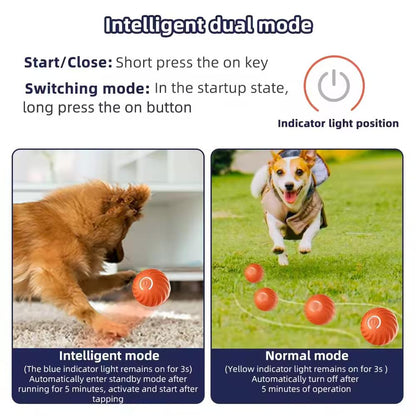 USB Vibrating Ball Toy for Dogs & Cats