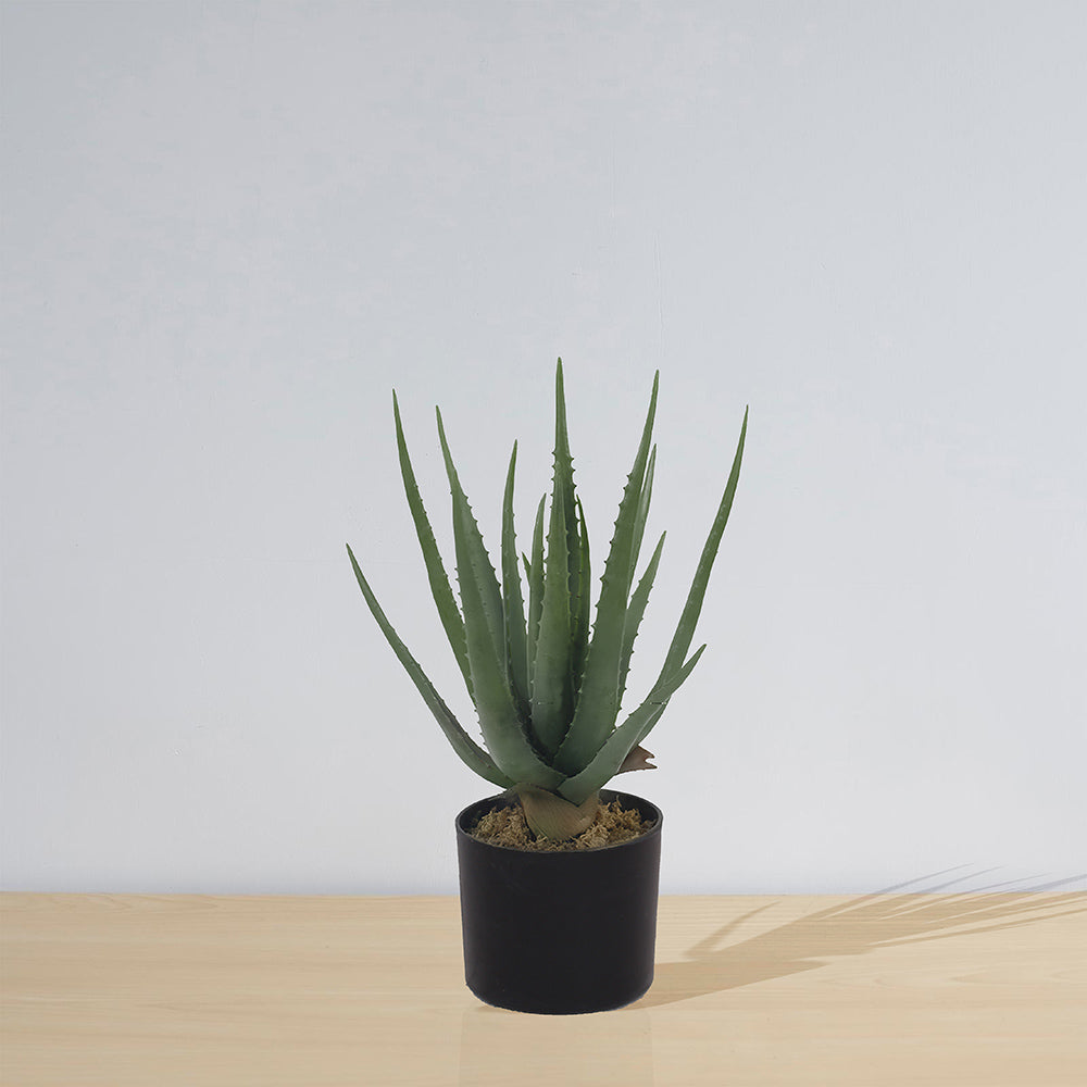 Guamo Artificial Aloe Vera Potted Plant (Multiple Sizes)