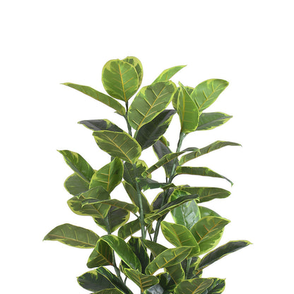 Jerico Artificial Rubber Potted Plant 4'