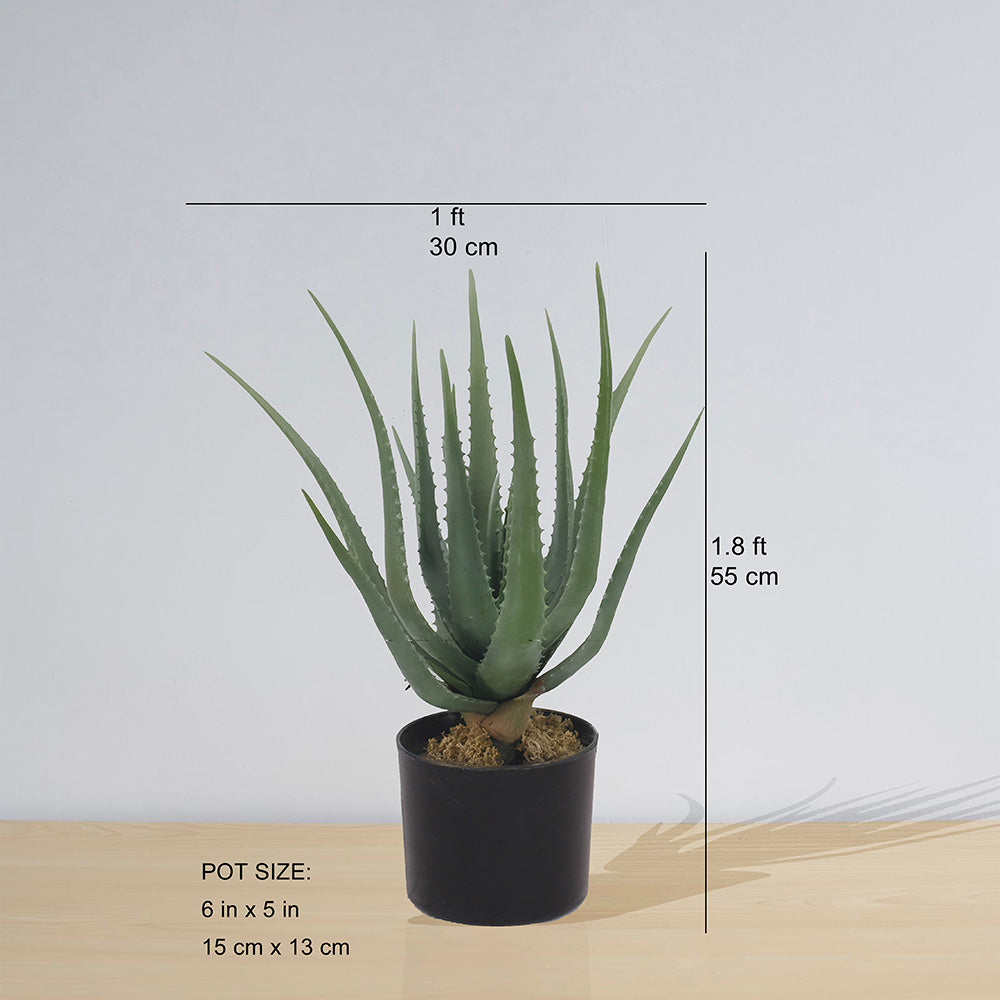 Guamo Artificial Aloe Vera Potted Plant (Multiple Sizes)