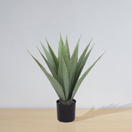 Tunja Artificial Century Potted Plant (Multiple Sizes)