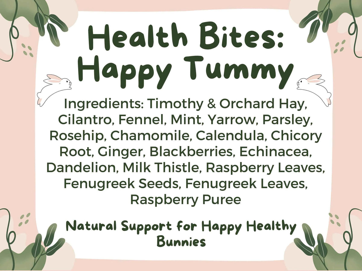 Health Bites: Happy Tummy