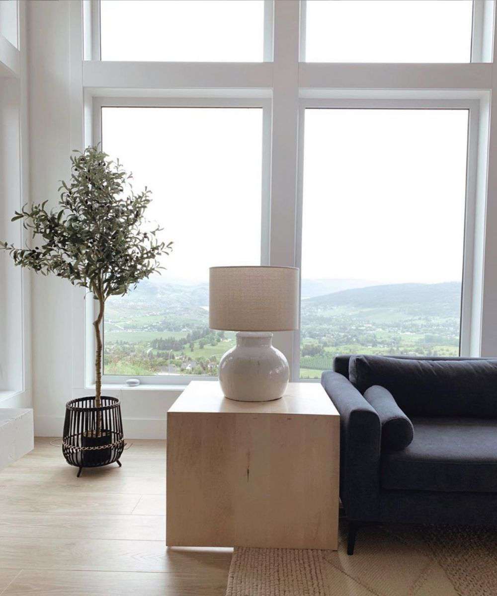 Oli Artificial Olive Tree Potted Plant (Multiple Sizes)