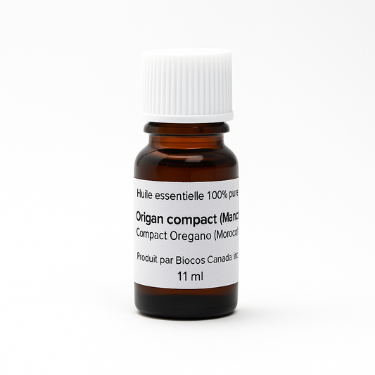 Origan compact biologique