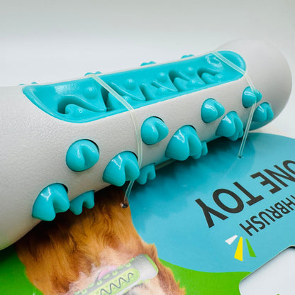 Molar Chew Toy for Dogs