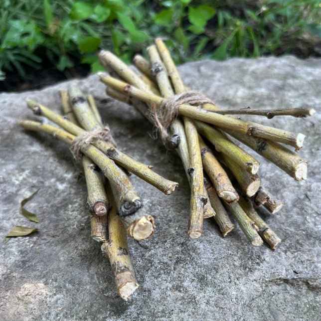 Willow Branch Bundle for Rabbits