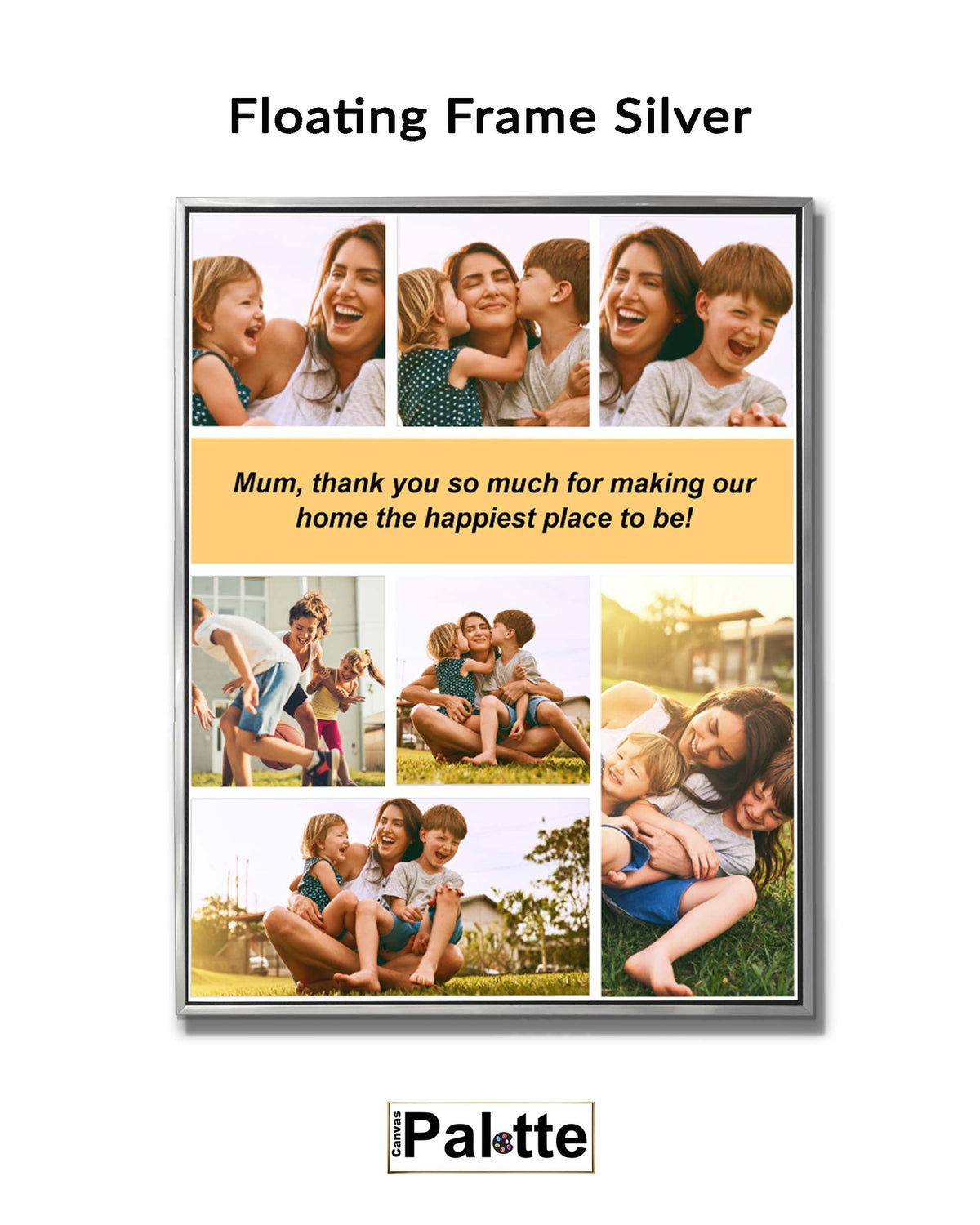 Floating Frame Silver/Black