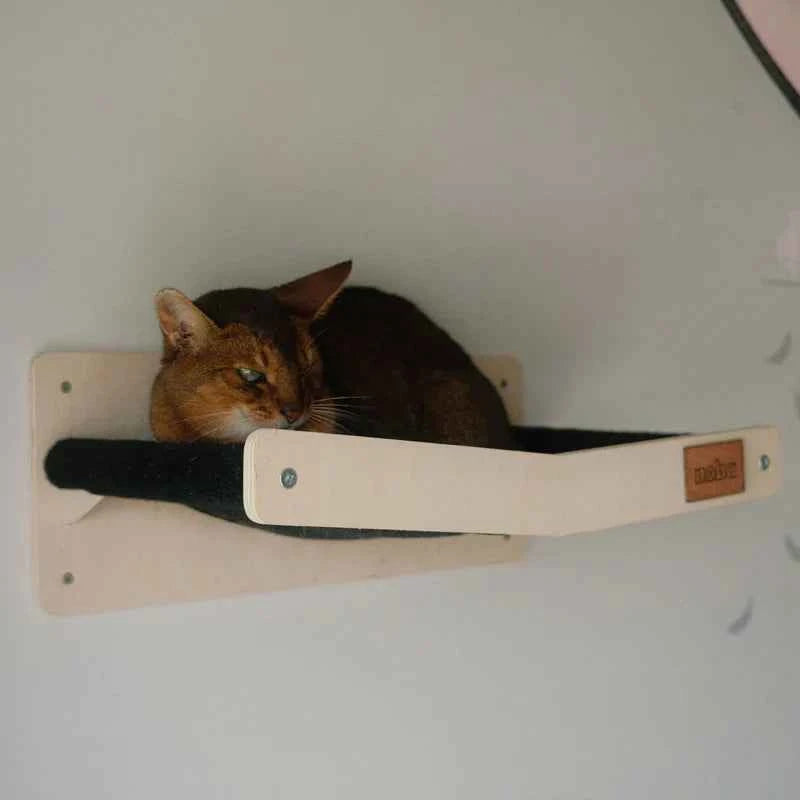 Wall Mounted Scratchable Cat Hammock