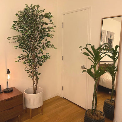Olaya Artificial Ficus Potted Plant 6'