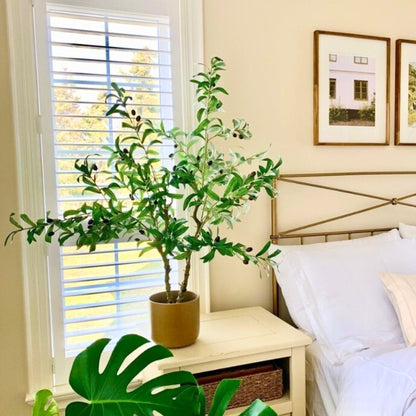 Oli Artificial Olive Tree Potted Plant (Multiple Sizes)