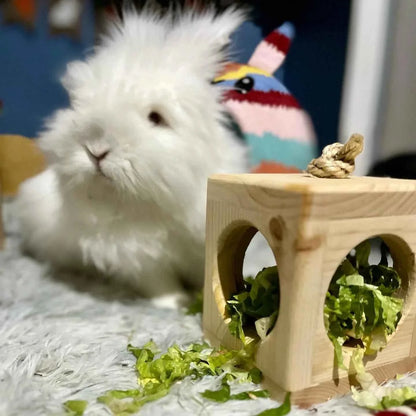 Small Animal Hay Cube