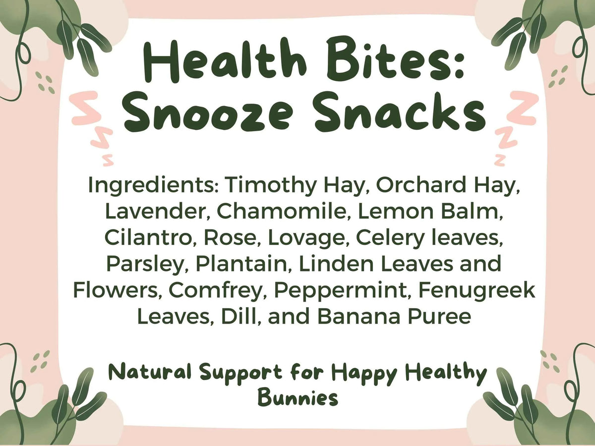Health Bites: Snooze Snacks
