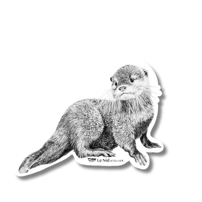 Baby Otter - Magnet