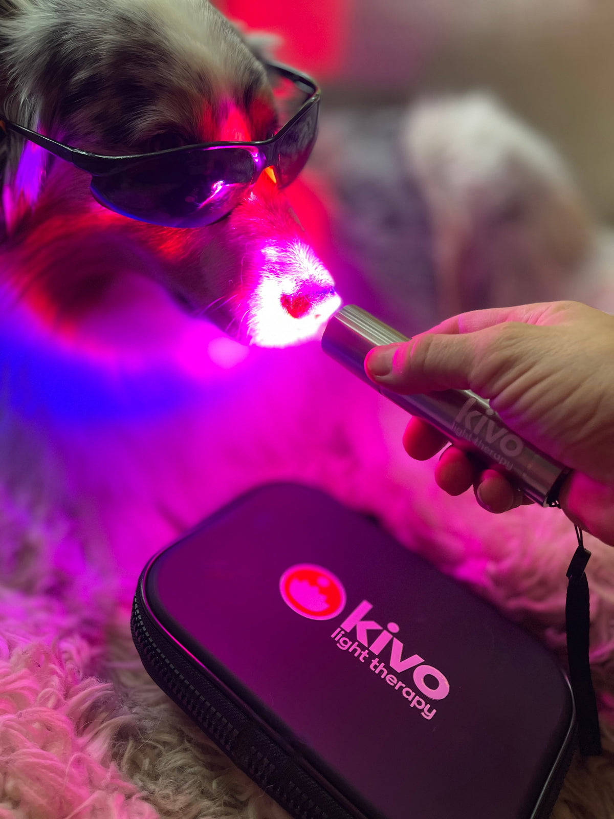 Kivo Pro Red & Blue Light Therapy Flashlight