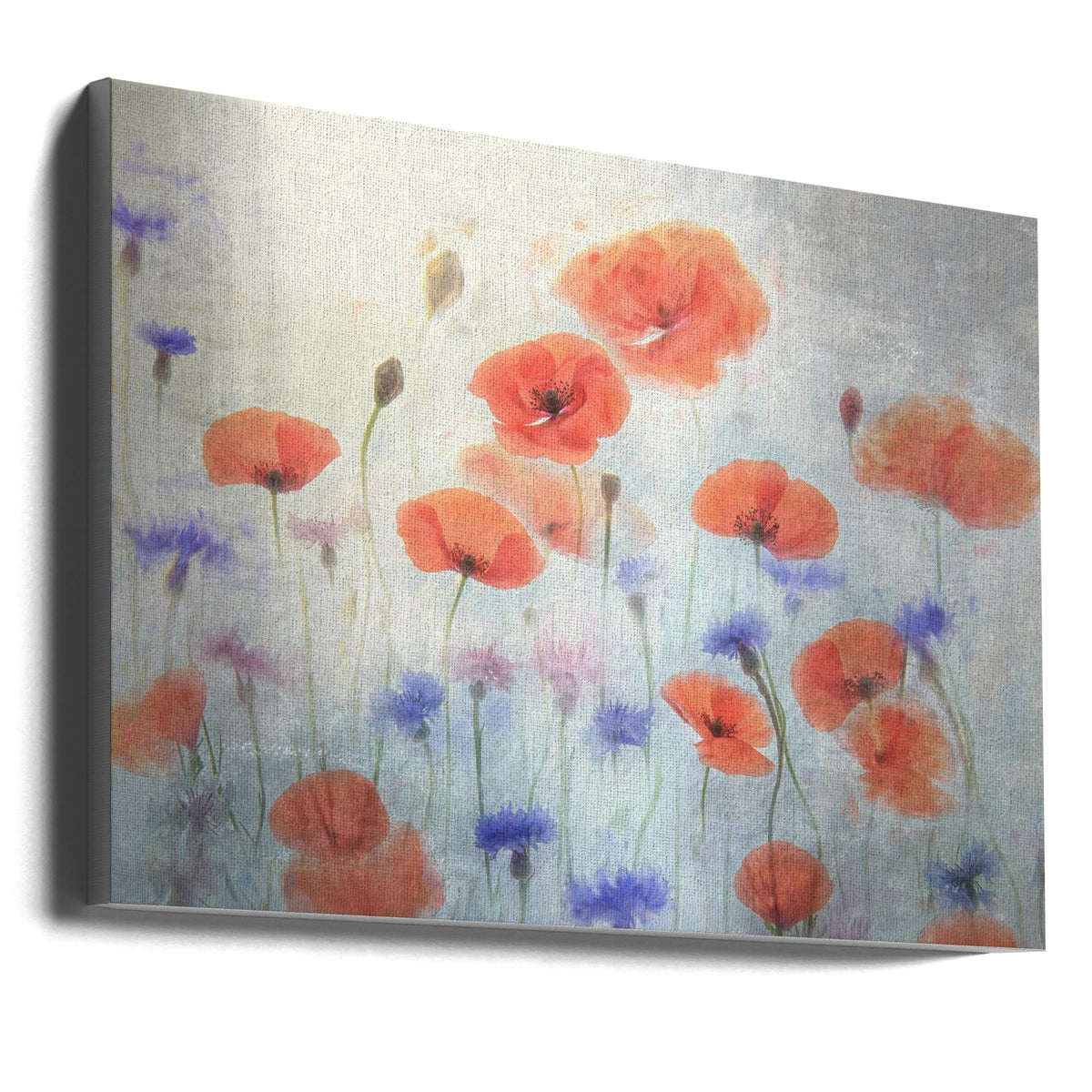 Wall Art Poppy