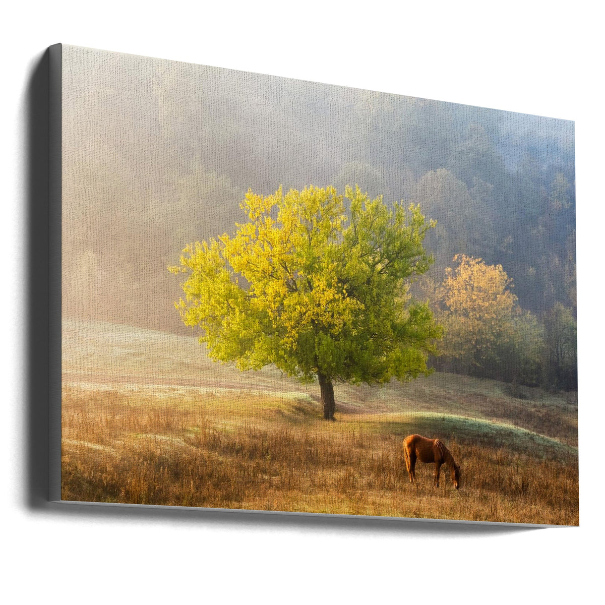 Wall art Tree of Life
