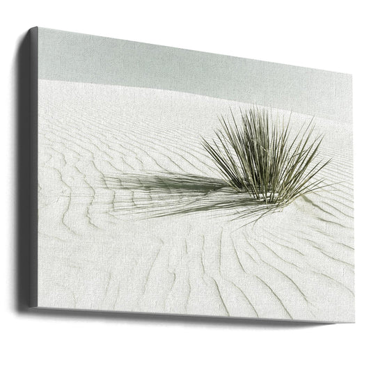 Wall art WHITE SANDS Vintage Dune