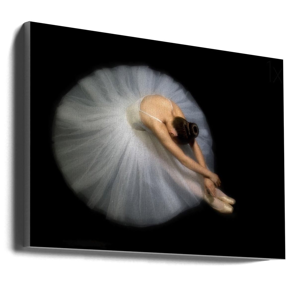 Wall art Elegance. Dance