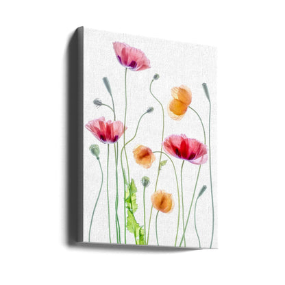 Wall art Poppies1