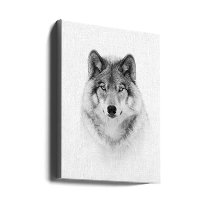 Portrait of a Timber Wolf
