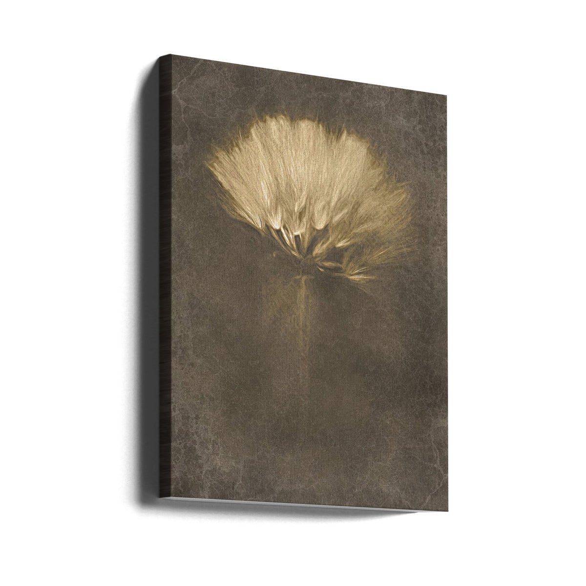 Wall Art Mysterious Days