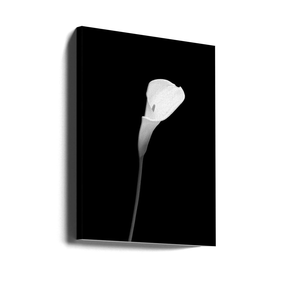 Wall art Calla | dark design