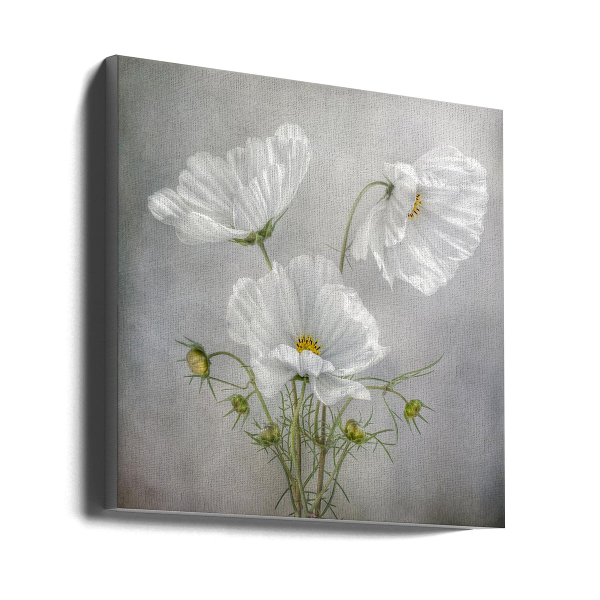 Wall Art Cosmos Charm Irises