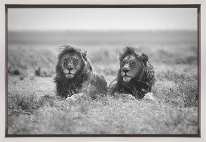 Wall art Two kings