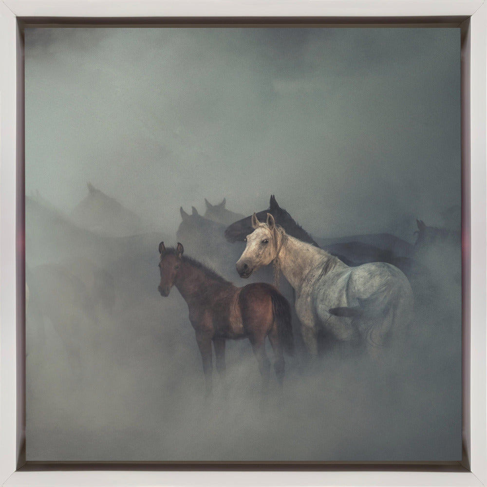 Wall art The lost horses