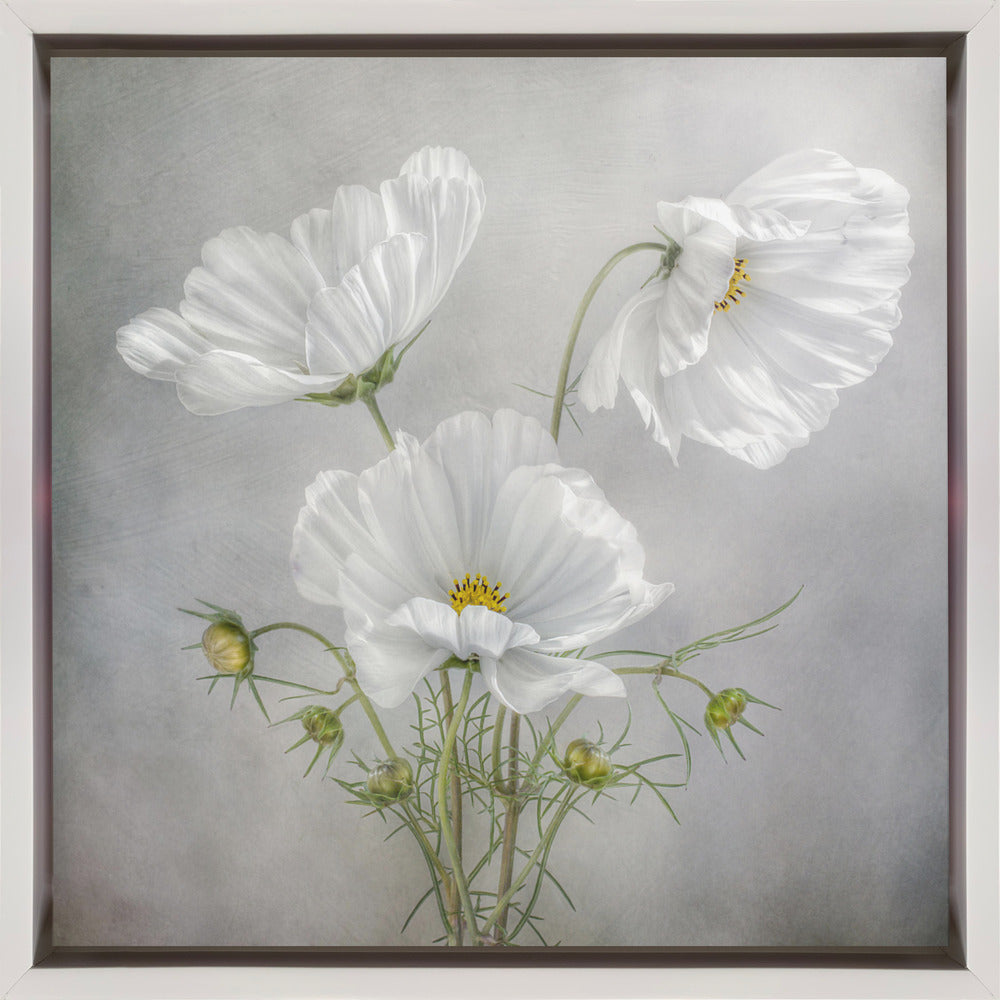 Wall Art Cosmos Charm Irises